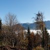 20081026_029